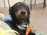 SALEM - Photo 1