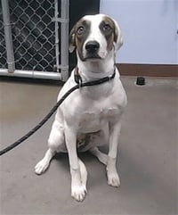 ZOE - Photo 1