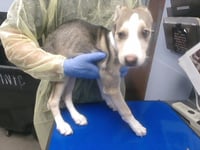 RADAR - Photo 1