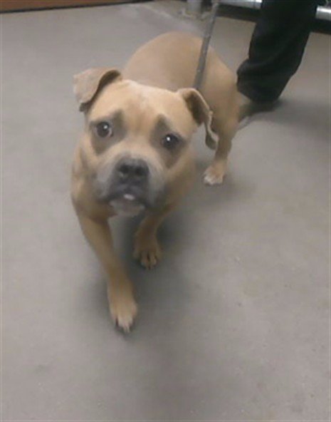 ROXY Image