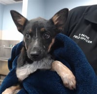 MARY - Photo 1