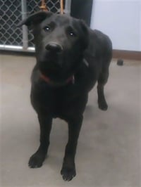FUDGE - Photo 1