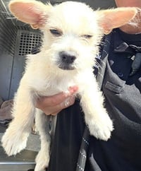 SPROUT - Photo 1