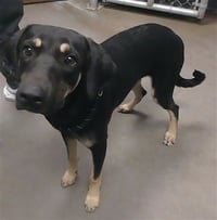 ESTRELLA - Photo 1