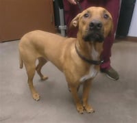 WINSTON - Photo 1