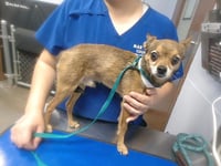 MEEP - Photo 1