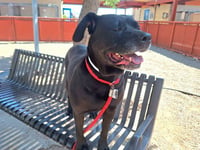 MISSY - Photo 1