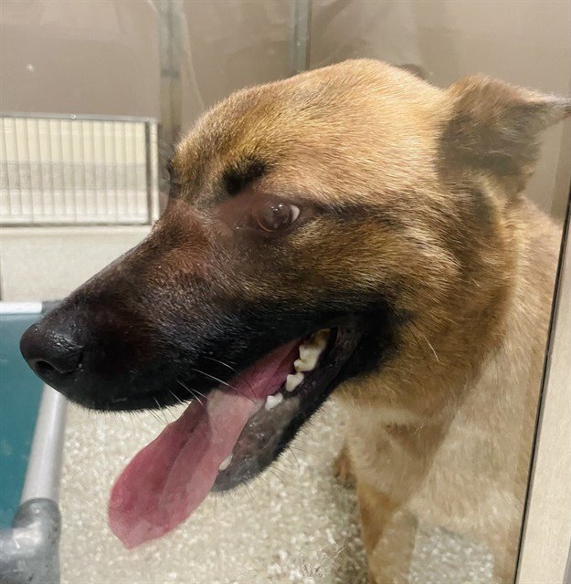 LUCKY Image
