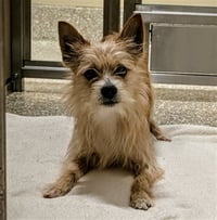 RIGBY - Photo 1