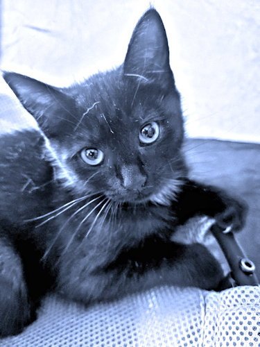 Espresso Image