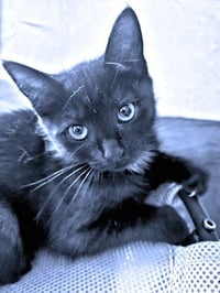 Espresso - Photo 1