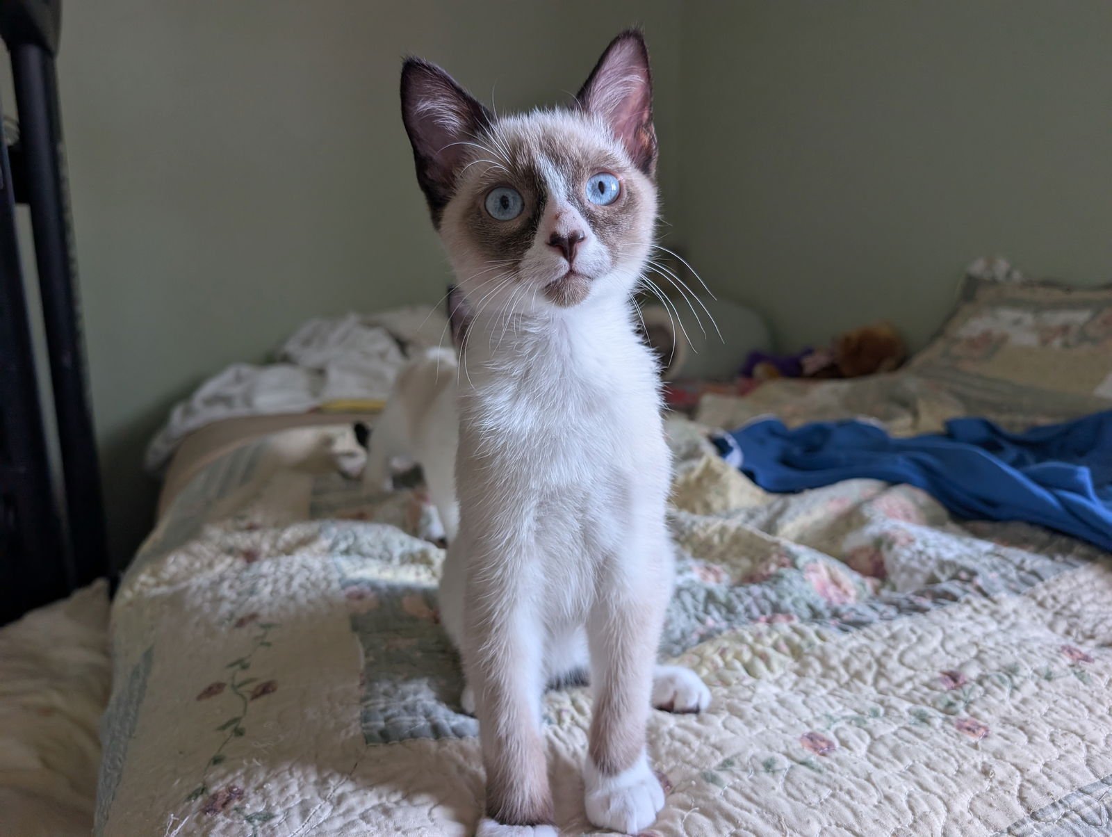 Jack and Jill - Photo 3