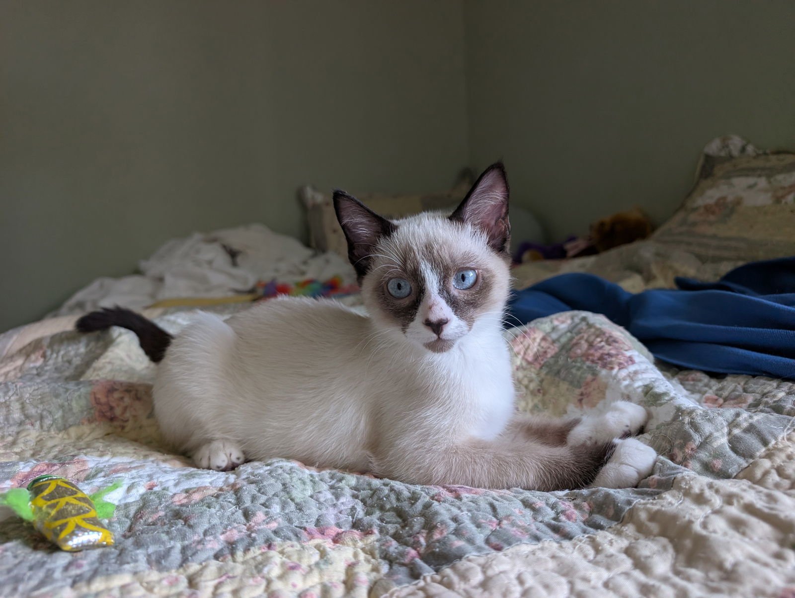 Jack and Jill - Photo 4