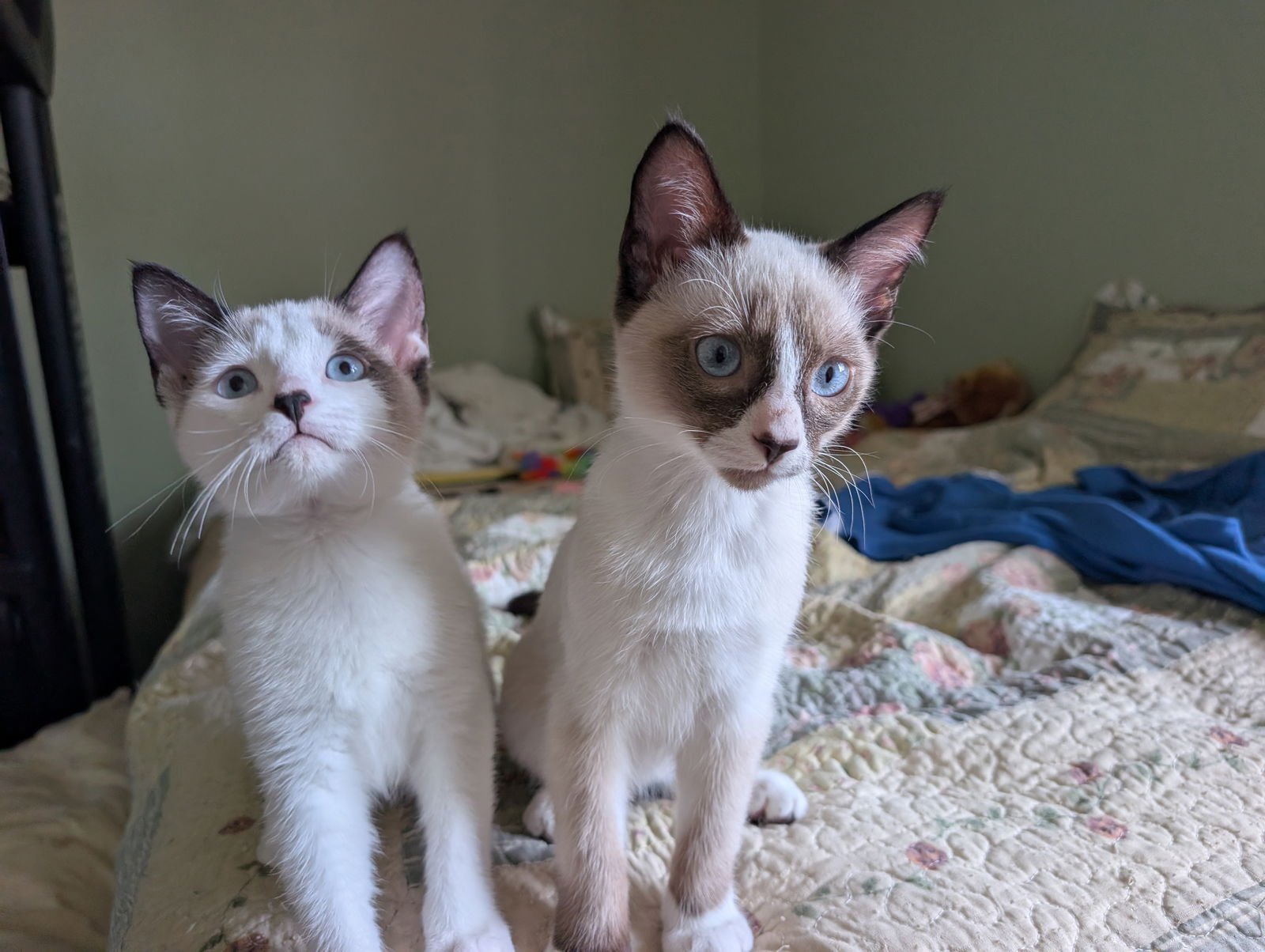 Jill + Jack - Photo 4