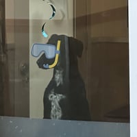 Nova - Photo 4