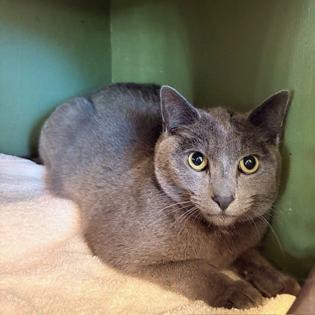 Mumu and Pepper - Photo 3