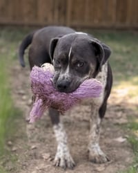 Shelly - Photo 5