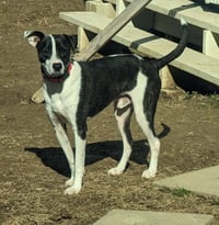 Bubbie - Photo 12