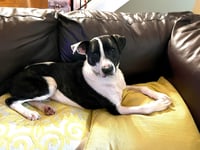 Bubbie - Photo 10