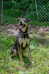 DeBo - Photo 15