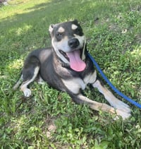 DeBo - Photo 7