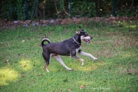 DeBo - Photo 17