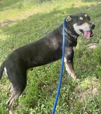 DeBo - Photo 9