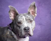 Wendy - Photo 2