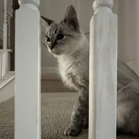 Mia B - Photo 3