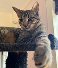 Fergus S. - Photo 4