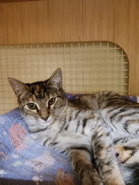Annie S. - Photo 5