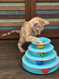 Biscuits - Photo 3
