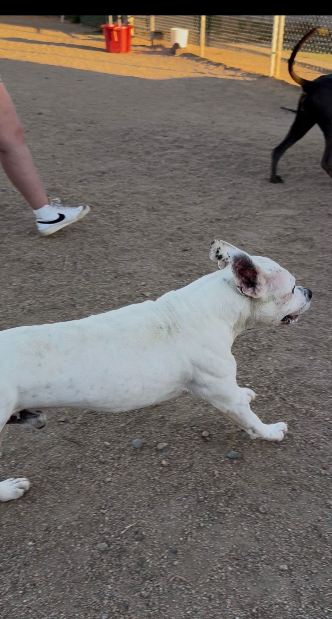 Bruce Almighty - Photo 3