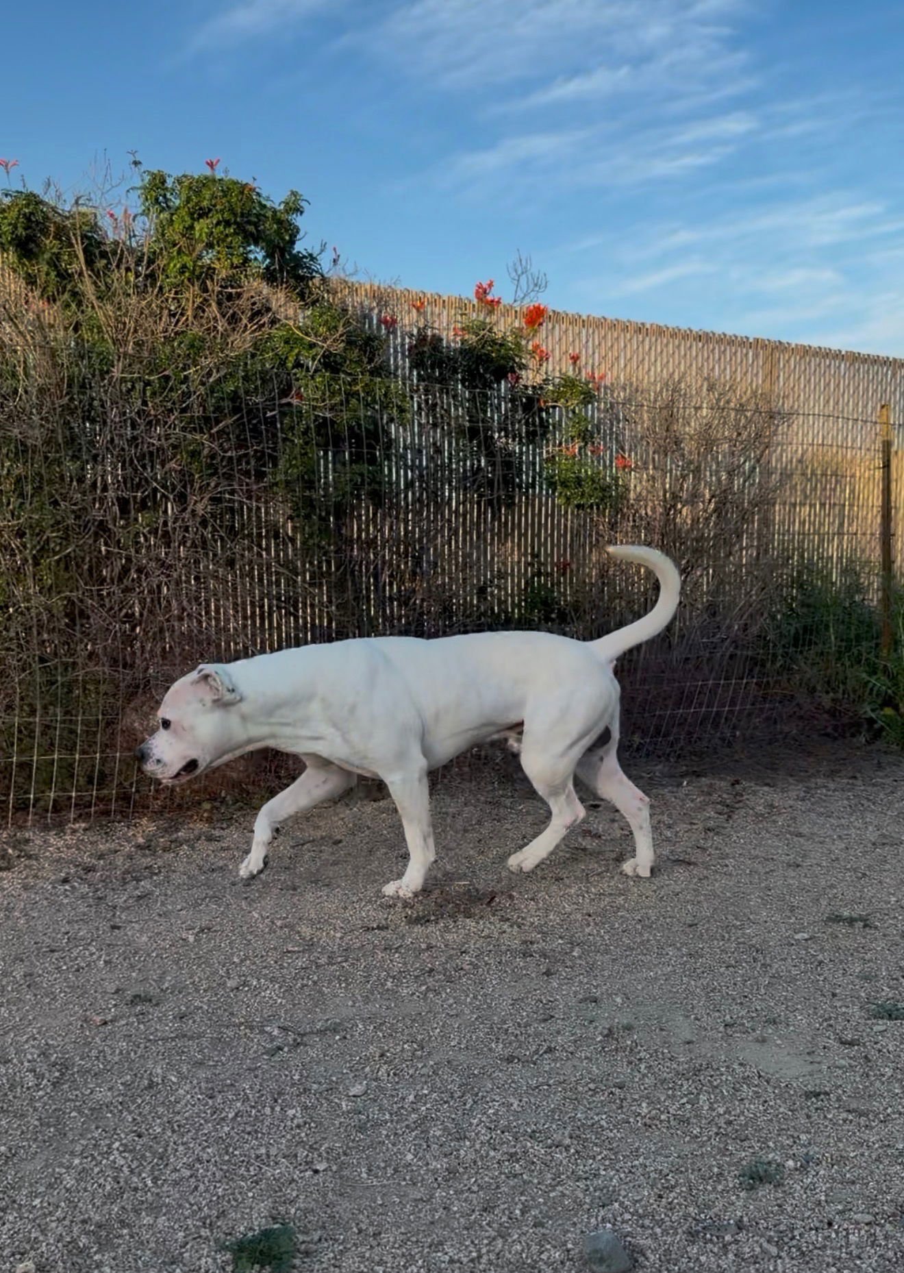 Bruce Almighty - Photo 4