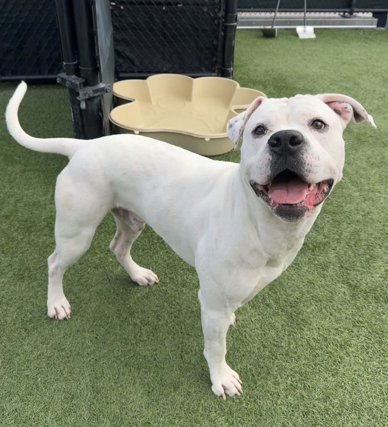 Bruce Almighty - Photo 6