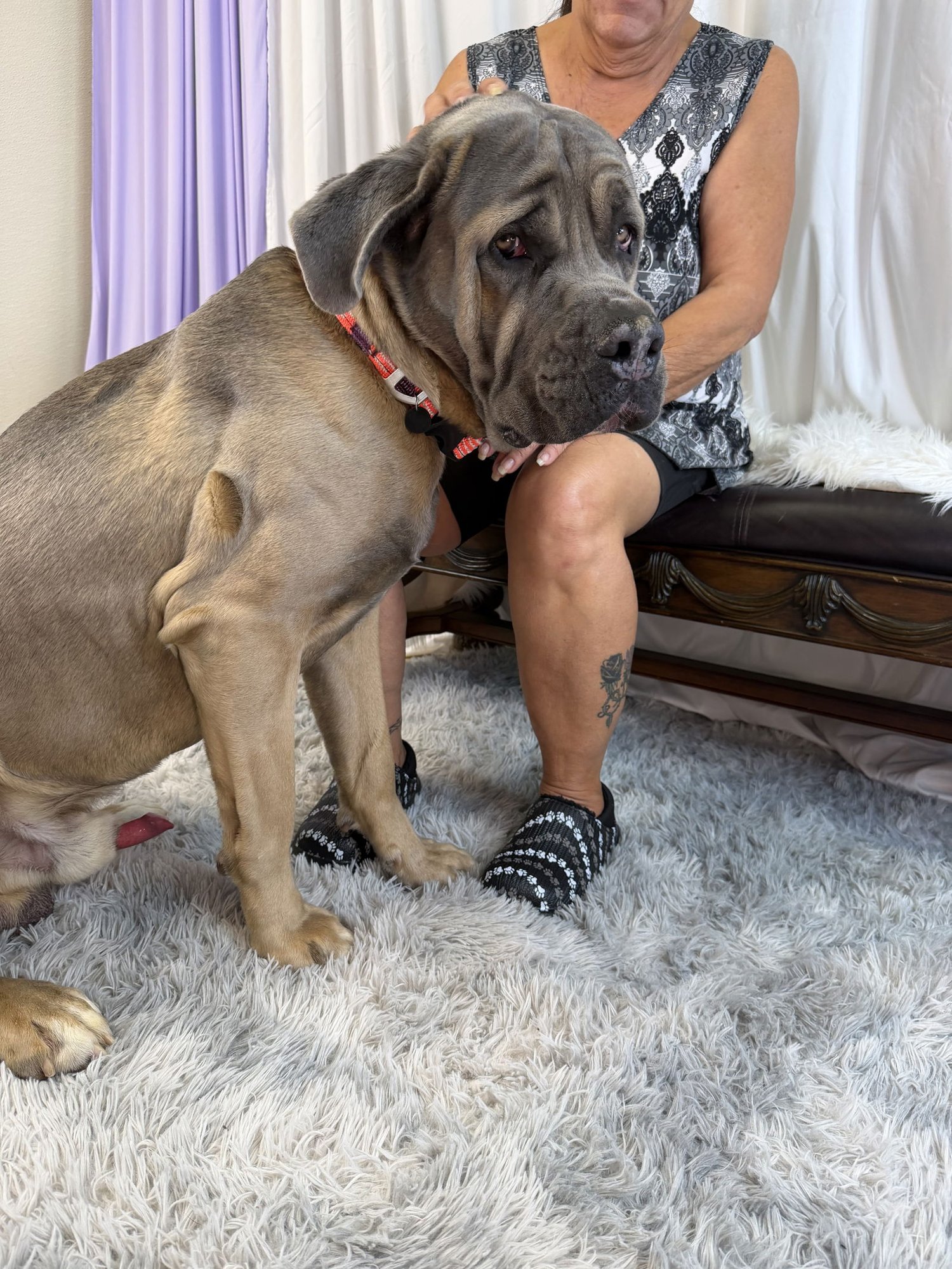 Titan - adopted - Photo 4