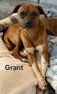 GRANT - Photo 1