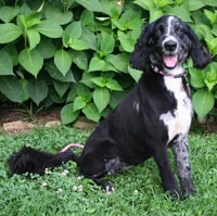 MARLEY GIRL - Photo 1