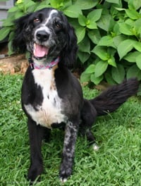 MARLEY GIRL - Photo 3