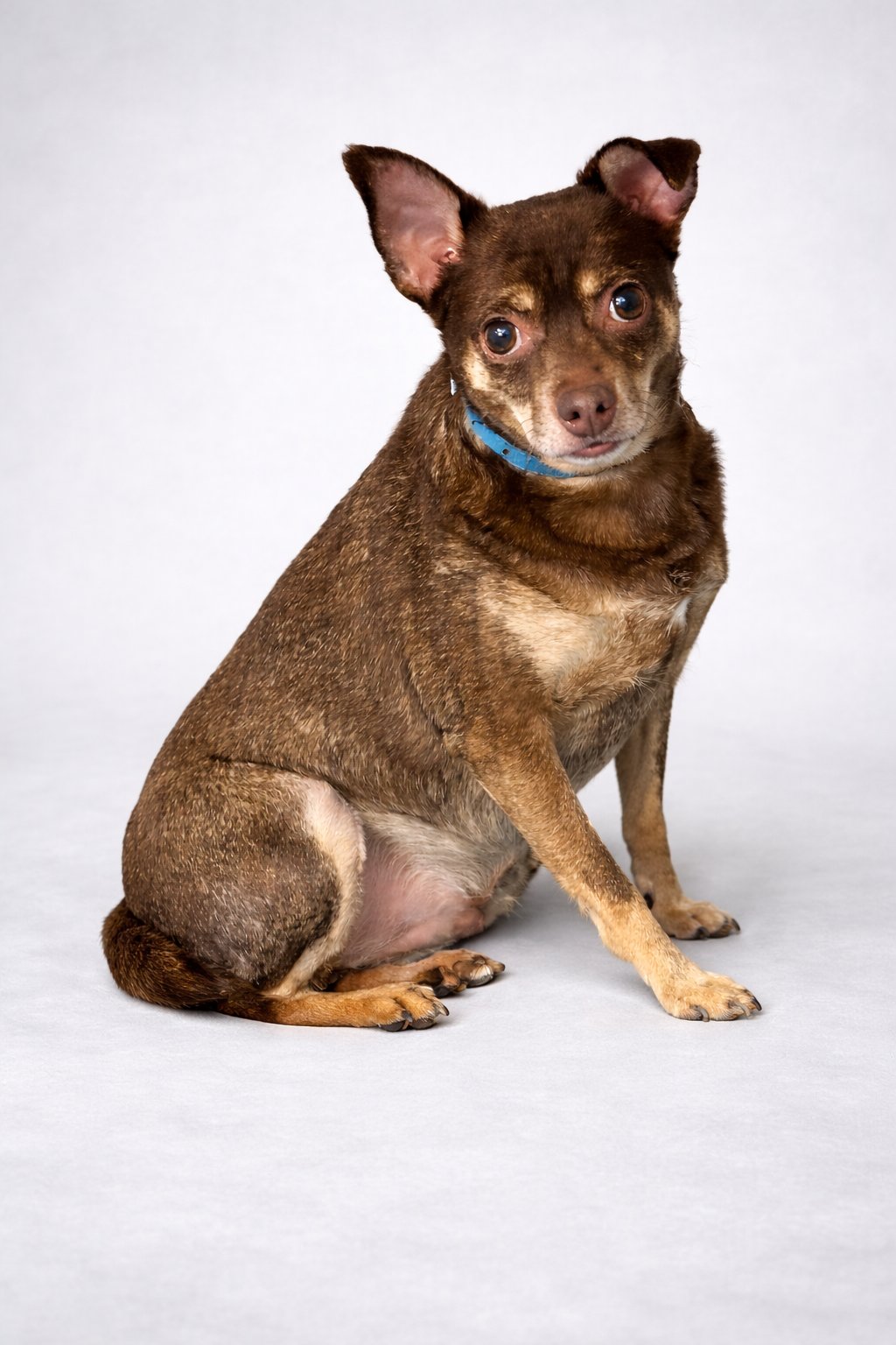 BRUNO MARS - Photo 3