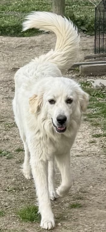 MARLEE Image