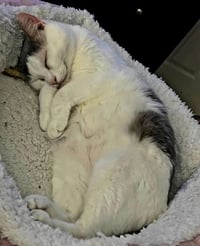 ETHEL - Photo 3