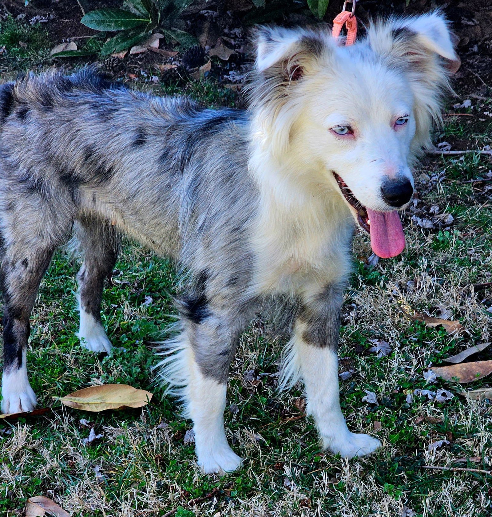 TINK - Photo 3