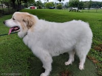 DAISY'S DESTINY - Photo 3