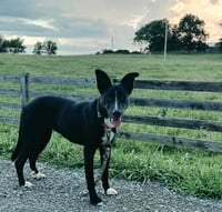 ARTSY MARCY - Photo 3