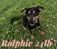 RALPHIE - Photo 2