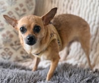 CALM COCOA - Photo 2