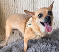 CALM COCOA - Photo 4