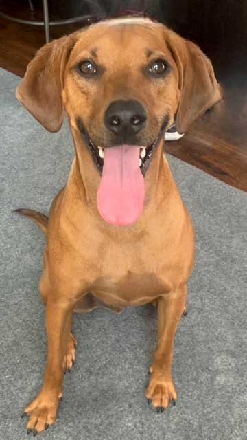 CASH-FOSTER NEEDED
