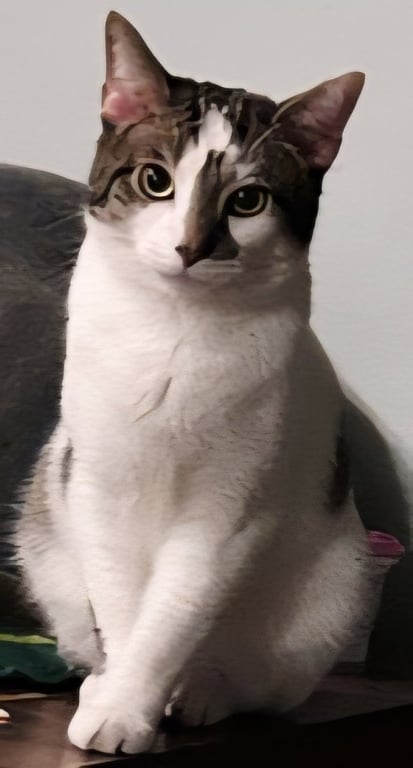 GOOSE Image